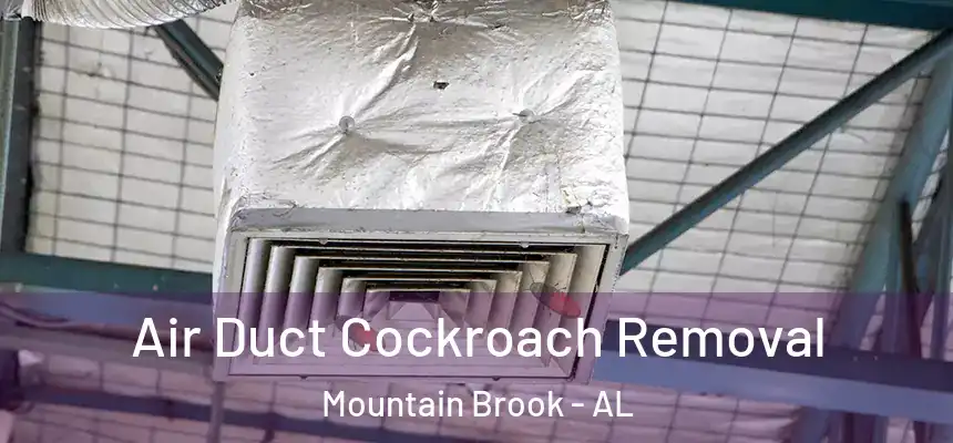  Air Duct Cockroach Removal Mountain Brook - AL