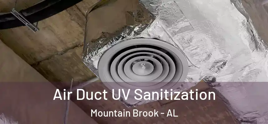 Air Duct UV Sanitization Mountain Brook - AL