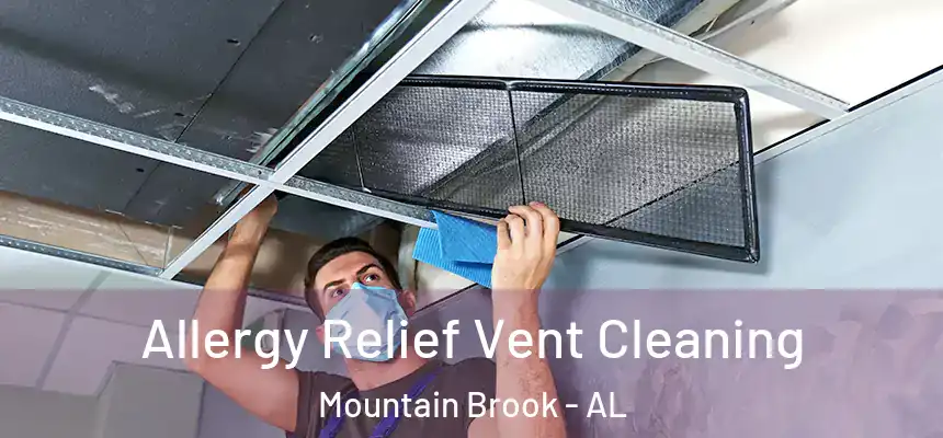 Allergy Relief Vent Cleaning Mountain Brook - AL