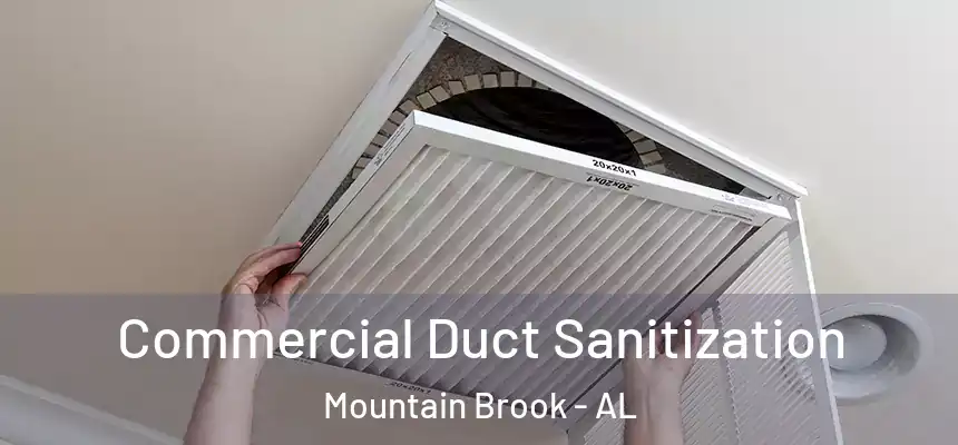 Commercial Duct Sanitization Mountain Brook - AL