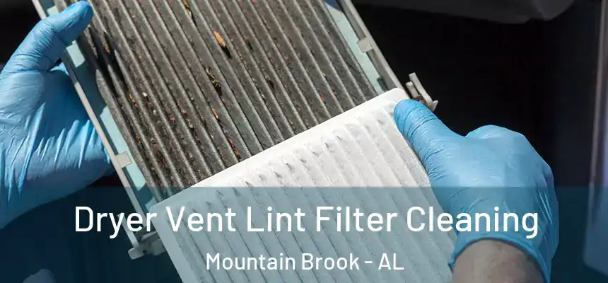 Dryer Vent Lint Filter Cleaning Mountain Brook - AL