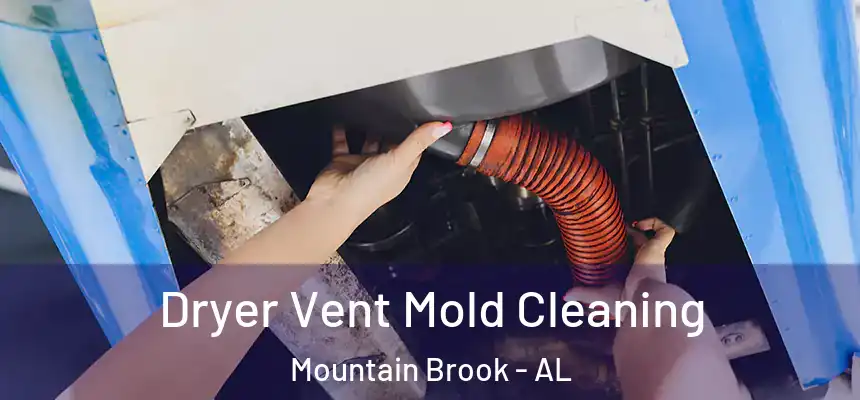  Dryer Vent Mold Cleaning Mountain Brook - AL