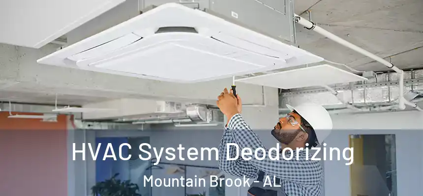 HVAC System Deodorizing Mountain Brook - AL