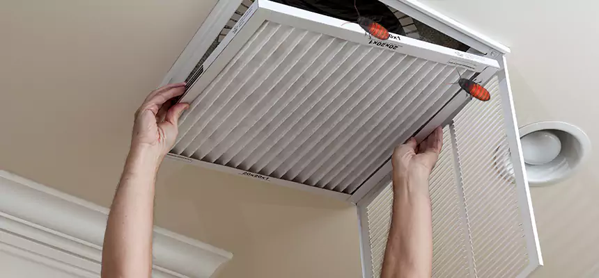Preventive Cockroach-Proofing for Ducts in Mountain Brook