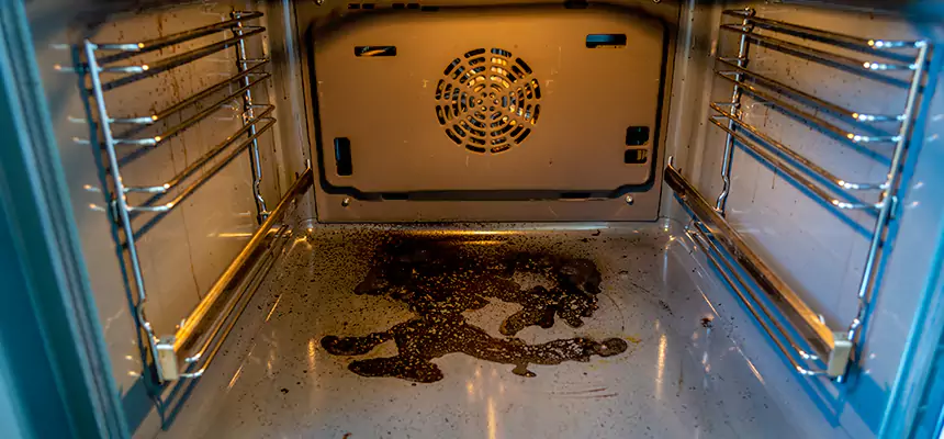 Our Dryer Vent Mold Cleaning Services in Mountain Brook, AL