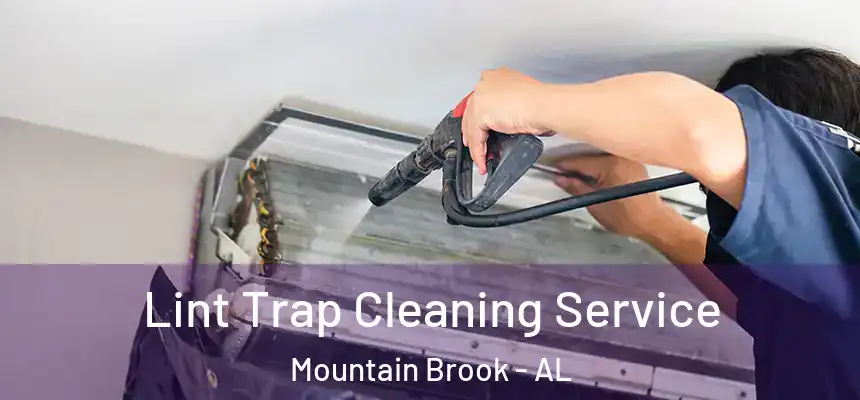  Lint Trap Cleaning Service Mountain Brook - AL