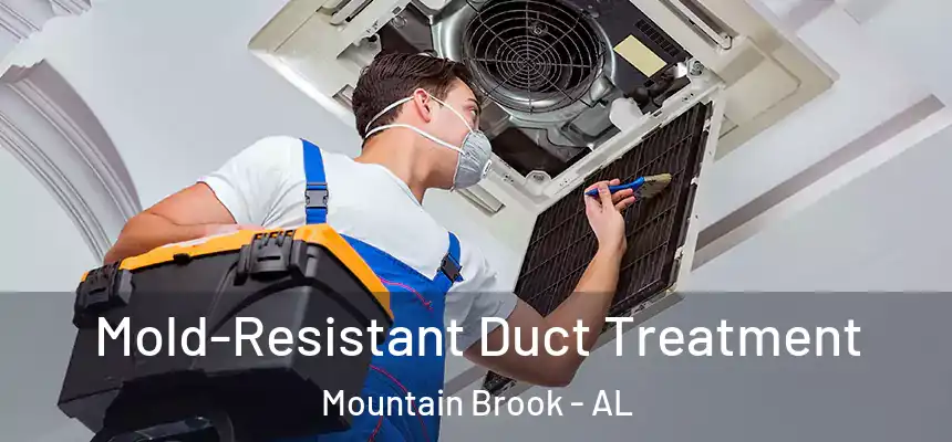  Mold-Resistant Duct Treatment Mountain Brook - AL
