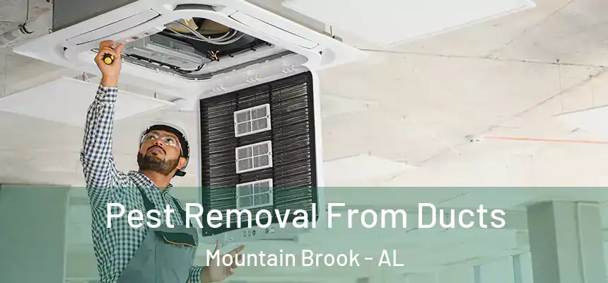  Pest Removal From Ducts Mountain Brook - AL
