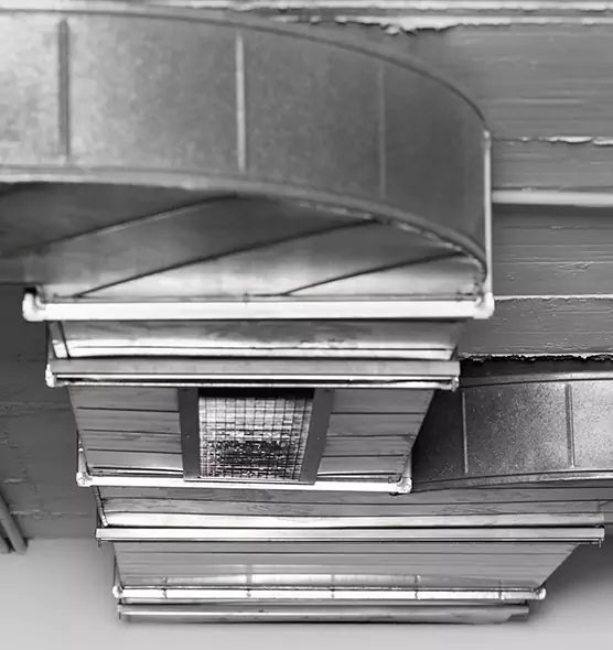 Professional Air Duct Pest Removal in Mountain Brook, AL