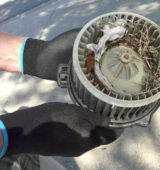 About Air Duct Rat Removal in Mountain Brook, AL