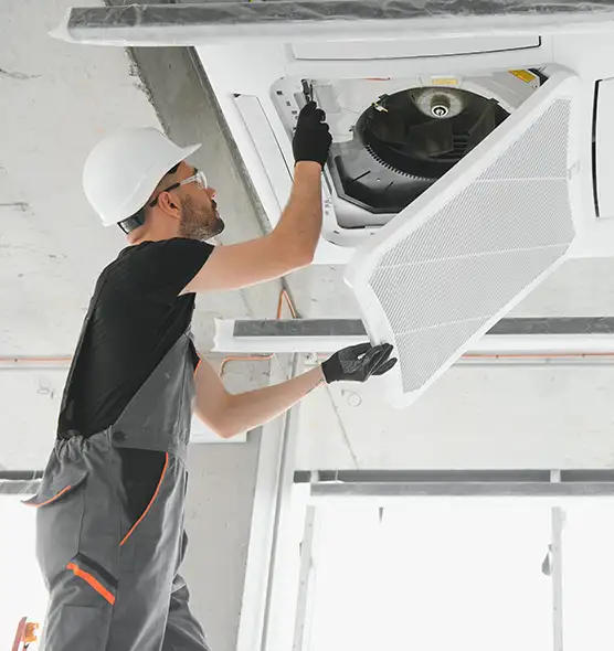 About Air Duct Rodent Removal in Mountain Brook, AL