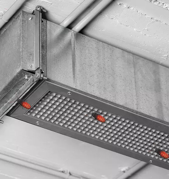 Affordable Insect Removal from Air Ducts in Mountain Brook, AL