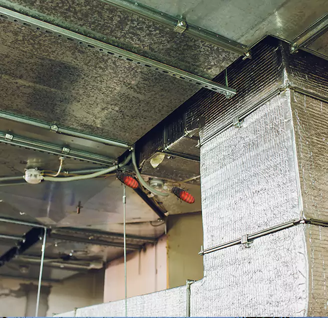 Why Homeowners & Businesses Trust Us in Mountain Brook, AL?