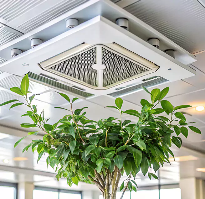 Why Homeowners & Businesses Trust Us in Mountain Brook, AL