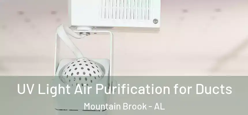  UV Light Air Purification for Ducts Mountain Brook - AL