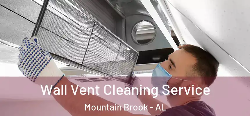 Wall Vent Cleaning Service Mountain Brook - AL